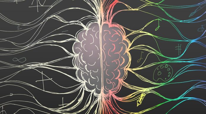 Дивовижний зв’язок між мозковими та кишковими ритмами