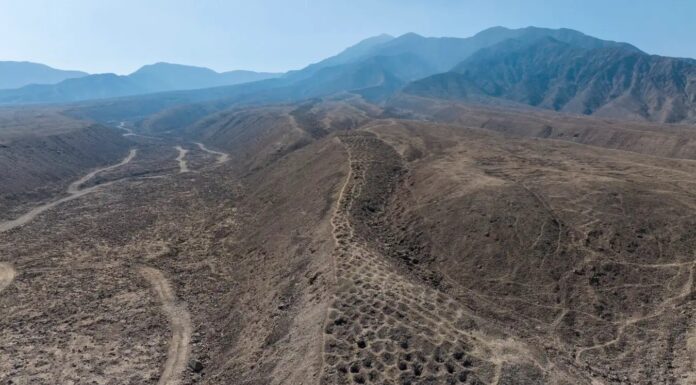 Змеиная Таблица: Ямы Инков Могли Быть Гигантской Системой Бухгалтерского Учета