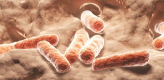 Природний контроль цукру в крові: кишкові мікроби як альтернатива Ozempic?