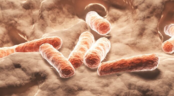 Природний контроль цукру в крові: кишкові мікроби як альтернатива Ozempic?