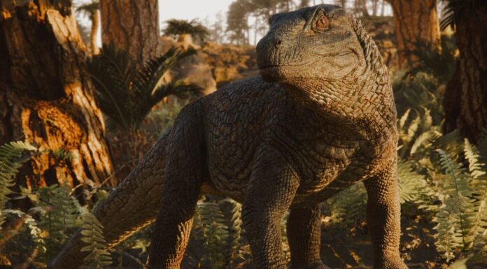 Войовничий крокодилоподібний предок виявлений у стародавній Бразилії