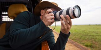 Найкращі камери для початківців фотографів дикої природи у 2025 році