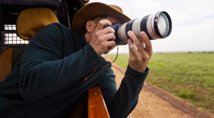 Найкращі камери для початківців фотографів дикої природи у 2025 році