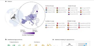 Дослідження показує, що багатомовність пов’язана з уповільненням старіння мозку