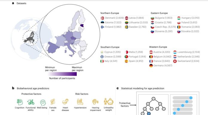 Дослідження показує, що багатомовність пов’язана з уповільненням старіння мозку