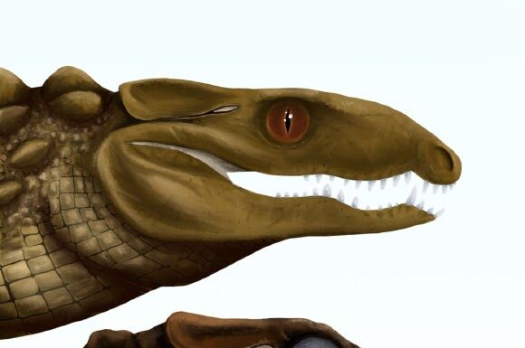 Стародавні австралійські крокодили: скам’янілості яєчної шкаралупи розкривають нові секрети