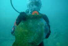 Затоплене місто Шовкового шляху виявлено в озері Киргизстану