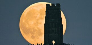 Erleben Sie den Beaver Supermoon: Ein himmlisches Spektakel, das es seit 2019 nicht mehr gegeben hat