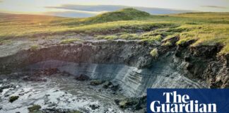 Арктичний острів зникає: гонка з часом