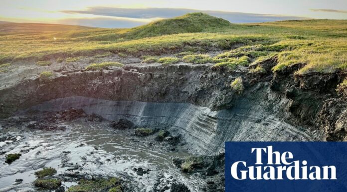 Арктичний острів зникає: гонка з часом