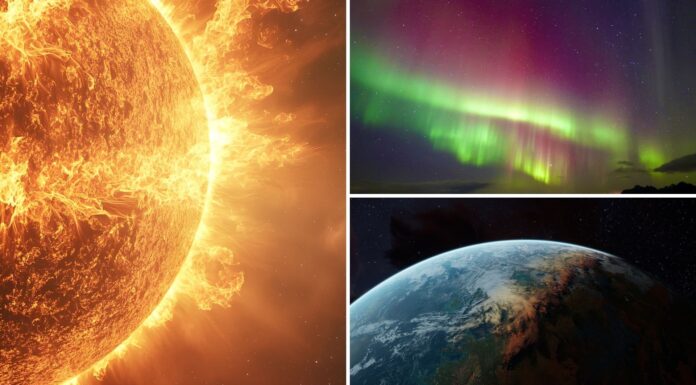 Сонячний цикл 25: що означає фаза розпаду для полярних сяйв у 2026 році