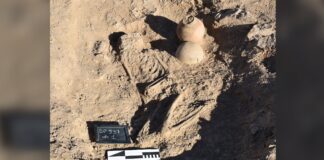 Mysterious 4,000-Year-Old Funeral Ritual Unearthed in Sudan