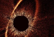 Планетарные Столкновения, Замеченные в Области Фомальгаута: Редкий Взгляд на Эволюцию Системы