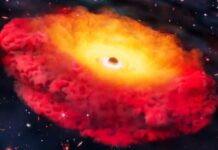 Наукові відкриття 2025 року, які побили всі рекорди