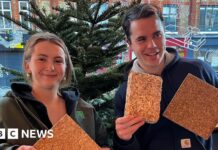 Лондонські дерева: від святкового настрою до екологічно чистих рішень