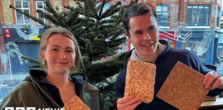 Лондонські дерева: від святкового настрою до екологічно чистих рішень