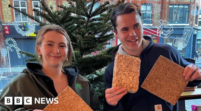 Лондонські дерева: від святкового настрою до екологічно чистих рішень