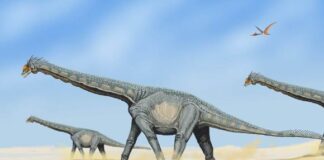 Незалежні дитинчата динозаврів змінили вигляд стародавніх екосистем, показує дослідження