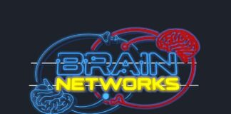 Прихована симфонія мозку: як наука про мережі зробила революцію в нейронауці