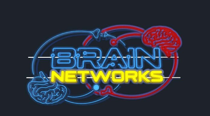 Прихована симфонія мозку: як наука про мережі зробила революцію в нейронауці