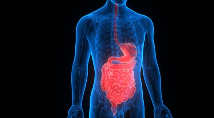 Дрібноквіткові нановезикули показують багатообіцяючі результати в лікуванні запальних захворювань кишечника