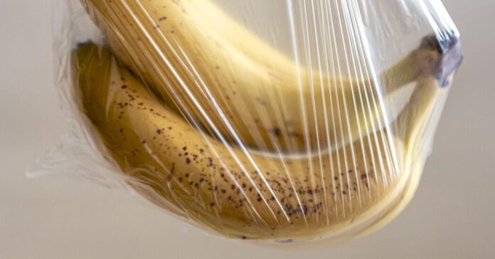 1bd0ffe0-4aac-4b10-be0d-5af1c95f6793