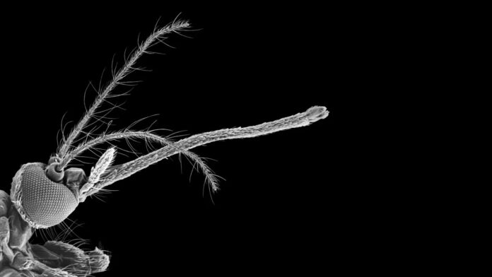 778f4ca0-8341-4b8a-bdb3-7ee3523b9dbc