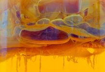 Початок Життя в Липкій Середовищі: Чи зародилося Життя в Густій Жижі До появи клітин?