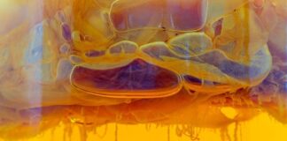 Початок Життя в Липкій Середовищі: Чи зародилося Життя в Густій Жижі До появи клітин?