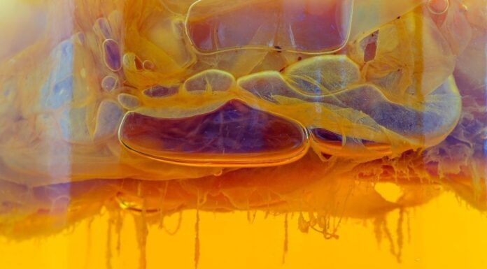 Початок Життя в Липкій Середовищі: Чи зародилося Життя в Густій Жижі До появи клітин?