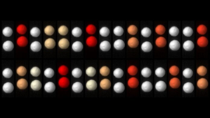 a6f721d6-fb6e-4d30-b873-d23a4993a008