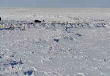 Екстремальна Зима на Озері Ері: Безпрецедентний Лід та Зростаючі Штормові Нагони