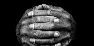 Нерассказанная История Человеческих Рук: Как Ловкость Сформировала Наш Вид