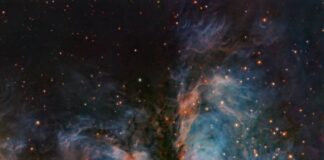 ВЛТ Розкриває Зоряний Розплідник: Коричневі Карлики та Молоді Зірки у RCW 36