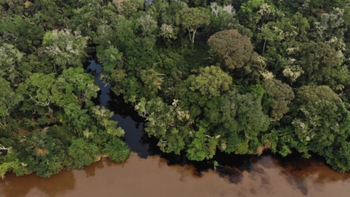 3b27318f-93c3-4232-a80e-af69c0e4b003