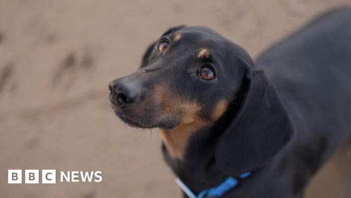 51da88eb-0c6f-4dac-b124-3cf549216ba6