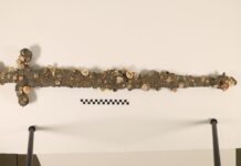 Меч Хрестоносця Виявлено У Берегов Ізраїлю Студентом-Дайвером