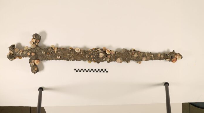 Меч Хрестоносця Виявлено У Берегов Ізраїлю Студентом-Дайвером