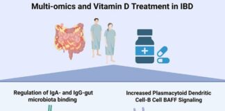 Вітамін D Змінює Імунну Відповідь при Запальних Захворюваннях Кишечника