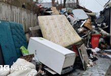 Боротьба з незаконним звалищем сміття: нові повноваження для порад та агенцій