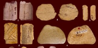 За межами Старого Світу: як американці льодовикового періоду освоїли мистецтво гри у випадок