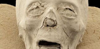 Onthulling van het verleden: hoe hightech medische scans oude Egyptische mummies decoderen