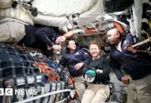 США та Канада: Тиждень Криз, Протестів та Незвичайних Події