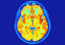 Вчені знайшли новий розлад нервової системи, прихований у наших генах