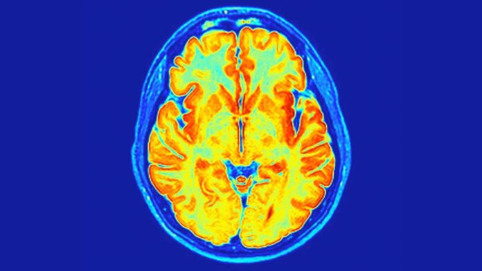 ba8a0f92-7de3-4cb9-934d-75a1e5a67927