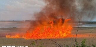 Po ničivém požáru v přírodní rezervaci Pegwell Bay bylo zahájeno vyšetřování žhářství.