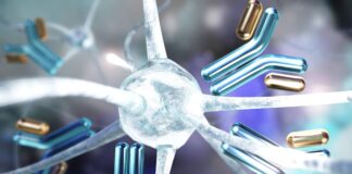 New “Molecular Switch” Identified as Potential Target to Combat Alzheimer’s Inflammation