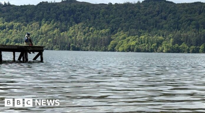 Зупиніть стоки. Врятуйте Віндермір.