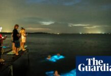 Živé jiskry: vědci vytvářejí světelné 3D objekty pomocí bioluminiscenčních řas