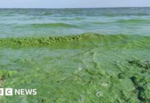 Терміновий перегляд нормативів необхідний боротьби з забрудненням сільськогосподарських вод